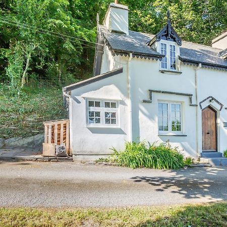 Braich-Y-Celyn Lodge Aberdyfi Exteriér fotografie
